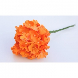 Hortensja Papierowa ok 70 kwiatuszków-Pomarańcz-9912