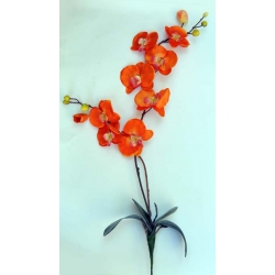 Storczyk z liściem dwie gałązki Pomarańczowy70cm